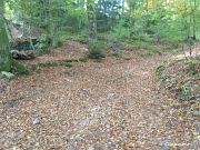 Le début du chemin forestier reliant le Champ de Mars au Bois du Corroy